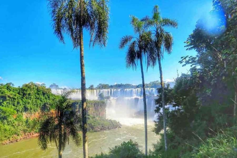 Buenos Aires: Iguazu Falls Private Tour with Flights - Iguazu National Park: where the magic turns into walking