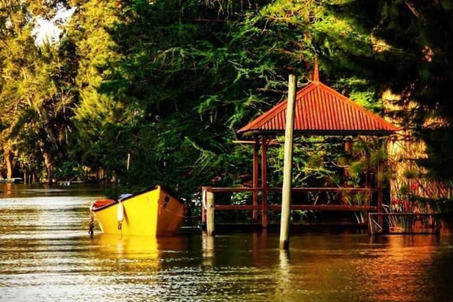 Buenos Aires: Tigre Delta Half-Day Tour with Navigation - The Bus Ride North That Helps You See Tigre in Context