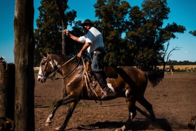 Gaucho Day Trip from Buenos Aires: Santa Susana Ranch - Hotel Pickup, Pampas Drive, and the 8-Hour Reality Check