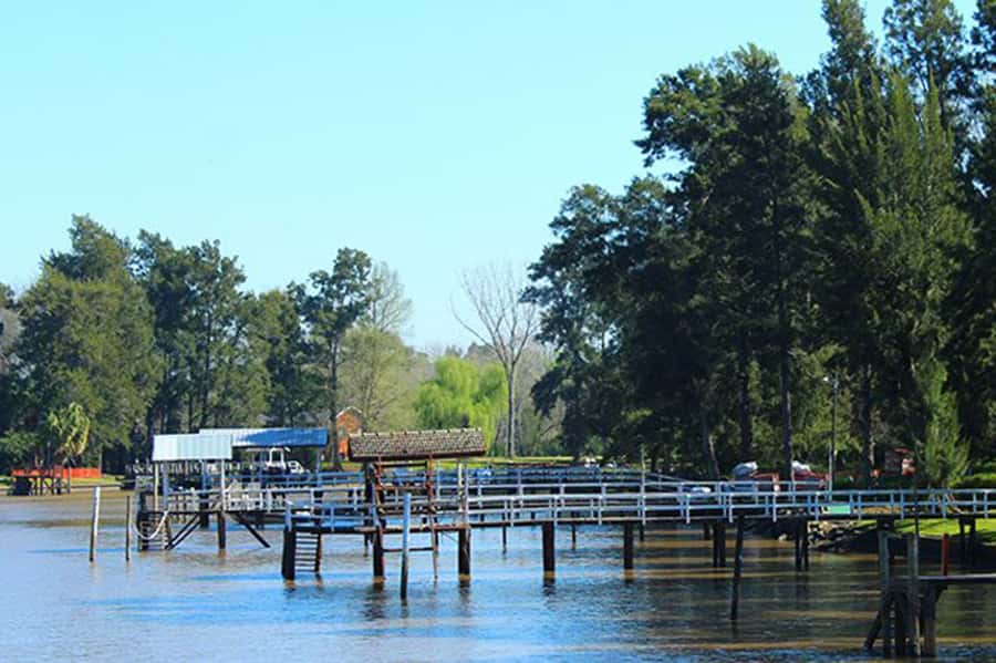 Tigre: River Delta Panoramic Boat Tour - What You See Up Close: Houses, Schools, Churches, and the Real Delta Rhythm