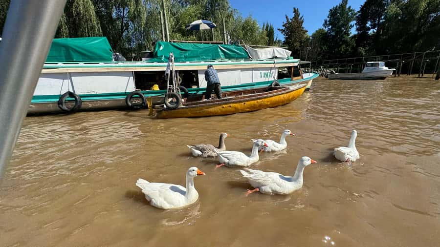 Unique Tigre and Delta Private Day Cruise Navegation - San Isidro in 15 minutes: why this quick stop works